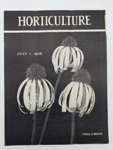 VTG Horticulture Magazine July 1 1936 Echinacea Angustifolia - £9.79 GBP