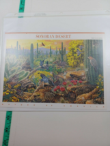 1999 33 cent Sonoran Desert full Sheet of 10, Scott #3293, Mint NH (book 2 #26) - £7.78 GBP