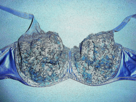 36D Lunaire Whimsy Madagascar Sheer Embroidered Underwire Balconette Bra 163-11 - £12.68 GBP