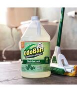 OdoBan 911002-G4 Deodorizing Disinfectant Con... - $14.73