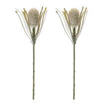 Protea Floral Stem (Set of 2) - 588808 - $75.98 CAD
