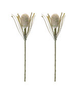 Protea Floral Stem (Set of 2) - 588808 - $990.75 MXN