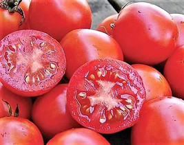 120+ Siberian Tomato Seeds Organic - £6.29 GBP