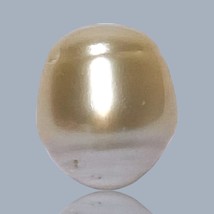 Oval Baroque 14.7 x 17mm Natural Gold South Sea Pearl Loose Drilled for ... - $54.70