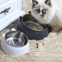 Elevated Slanted Pet Bowl - Ergonomic Design For Improved Feeding Experi... - £13.38 GBP+