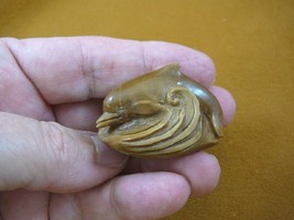 tb-dolph-9) Dolphin in waves ocean TAGUA NUT palm figurine Bali detailed... - $46.98