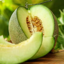 New Fresh Seeds Rocky Ford Green Cantaloupe Netted Honeydew Flesh Melon Fruit - $7.90