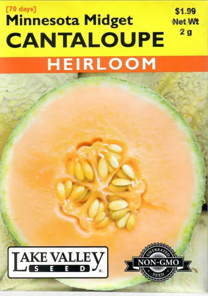 Cantaloupe Minnesota Midget Vegetable Seeds Lake Valley Non Gmo 12/24 Fresh New - £7.00 GBP
