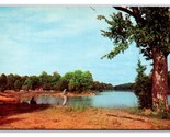 Shelby Forest State Park Lucy Tennessee TN UNP Chrome Postcard N25 - $2.92