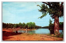 Shelby Forest State Park Lucy Tennessee TN UNP Chrome Postcard N25 - $2.92