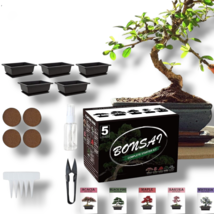 Bonsai Tree Kit - Complete Growing Set w Tools, Soil, Pot DIY Indoor Gar... - $29.99