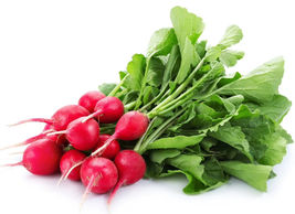 Free Shipping 100 Radish Seeds - Fast Growing Heirloom Non Gmo Cherry Belle - £10.16 GBP