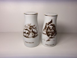Fundy Park New Brunswick Souvenir Ceramic Salt &amp; Pepper Shakers Vintage Unused - £19.57 GBP