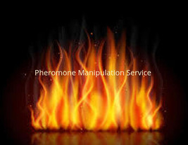Pheromone Manipulation Service - The Power to intoxicate targets - £47.54 GBP
