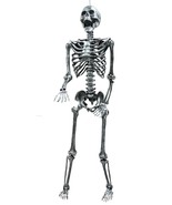 NEW 5FT Life Size Silver Gray POSABLE SKELETON Jointed Halloween Prop Decoration - $142.47