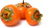 Organic Fruit Tree Seed Persimmon Seeds Heirloom Diospyros Parennial 30. - $6.99