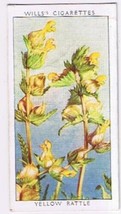 Wills Cigarette Card Wild Flowers #37 Yellow Rattle - £0.78 GBP