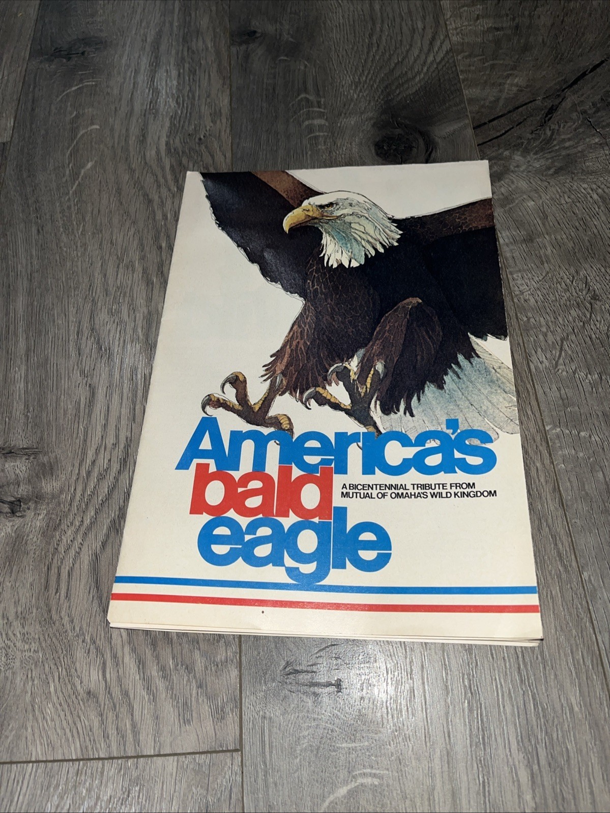 America’s Bald Eagle Bicentennial Tribute Educational 1975 Classroom Poster - $7.70