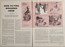 1956 Magazine Picture How to Find a Wounded Deer Illustrated by Robert Riger - £15.34 GBP