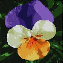 Pepita needlepoint kit: Pansies Up Close, 10&quot; x 10&quot; - £58.61 GBP+