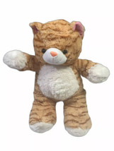 BDAY BEARS Calico Kitten  Cat 16” Soft Plush With  Pouch - £23.26 GBP