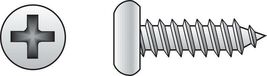 HILLMAN No. 10 Ga. X 2-1/2 in. L Phillips Pan Head Sheet Metal Screws 50 pk - $17.95