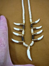 (G170-315) nine 1&quot; Alligator Tooth Teeth Gold capped aceh bovine bone necklace - £70.17 GBP