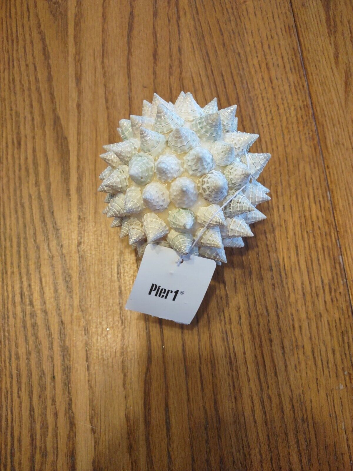 Pier 1 Shell Ball Decorative-Brand New-SHIPS N 24 HOURS - $29.58