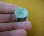 F328-12) 1&quot; fossil Shark vertebrae bone disk bony segment vert vertebrat... - $8.59