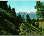 Sentiero Su Uragano Ridge Olympic National Foresta Wa Unp Cromo Cartolin... - $4.04