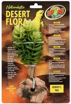 Naturalistic Desert Flora Burros Tail Terrarium Plant with Removable Roc... - $9.95