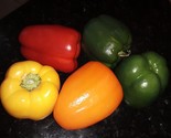 KKG 50 Seeds Red Orange Yellow &amp; Green Bell Fresh Garden - $8.89