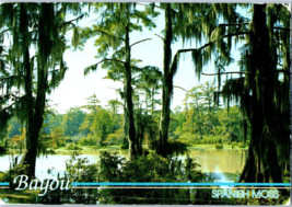 Bayou and Spanish Moss Mississippi Postcard Posted 1999 - £7.68 GBP