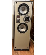 Vintage Paisley SPL 3000 Monitor Speaker + Grill | Refoamed - $3,214.15 MXN