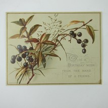 Victorian Birthday Greeting Card Wild Berry Branch Raphael Tuck &amp; Sons A... - £7.82 GBP