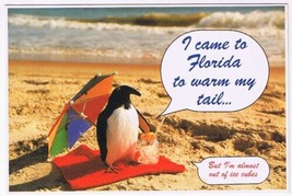 Postcard I Came To Florida To Warm My Tail Almost Out Of Ice Cubes - £3.10 GBP