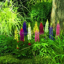 PWO Fresh Heirloom Wild Lupine Flowers Mixed Pink White Yellow Red Purple Dark R - $1.72