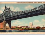 Queensborough Ponte New York Città Ny Nyc Unp Lino Cartolina S10 - $3.03