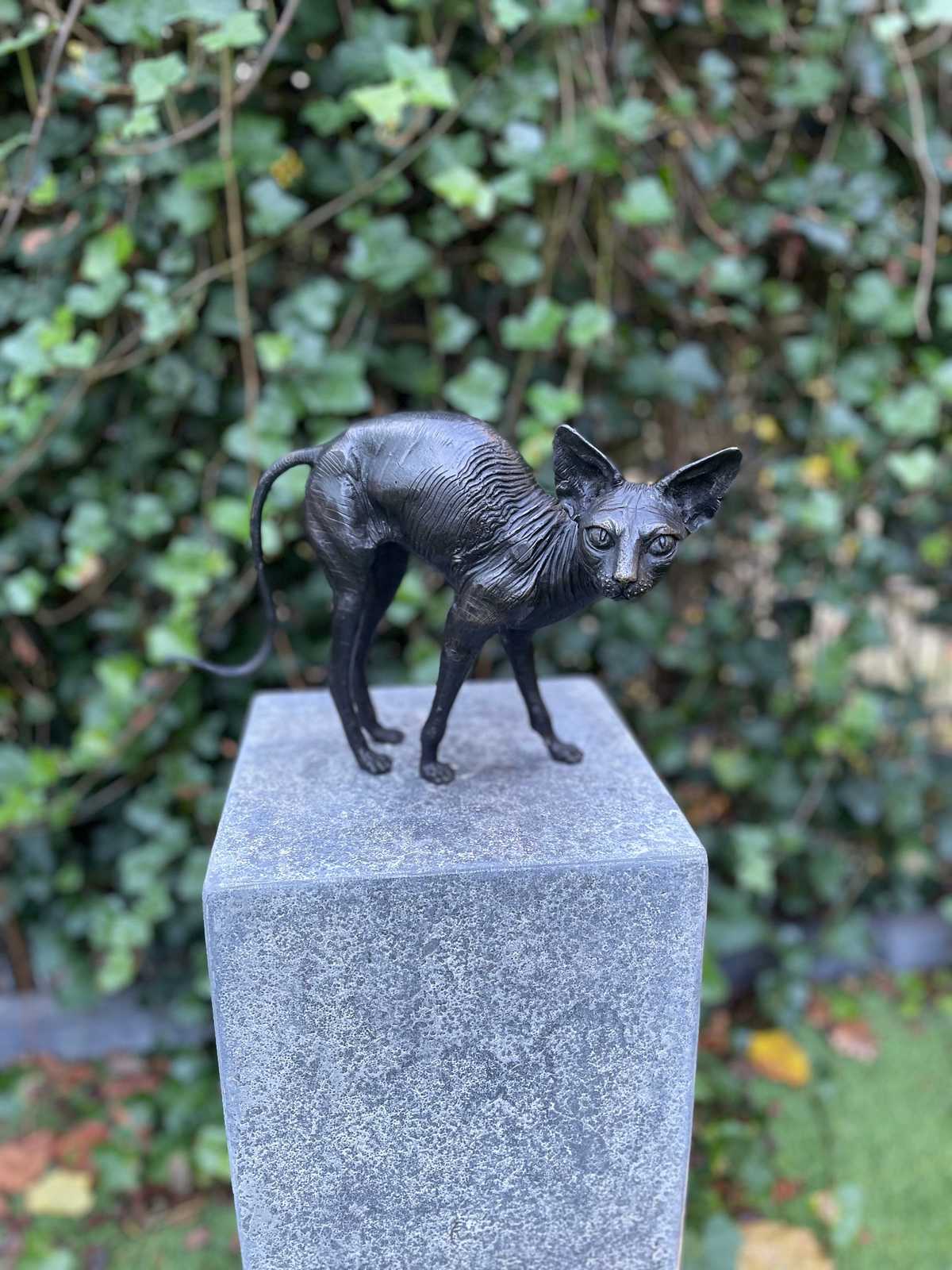 Sphynx Cat – Bronze Sculpture. 22x11x29cm - 1Kg - $274.95