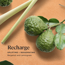 Sprig by Kohler Body & Linen Mist, Recharge (Bergamot and Lemongrass), 4 Oz. image 2