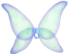 Women&#39;s Fairy Wings GRN - $80.35