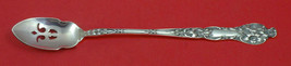 Bridal Flower by Watson Sterling Silver Olive Spoon Pierced Long 6 7/8&quot; ... - $98.01