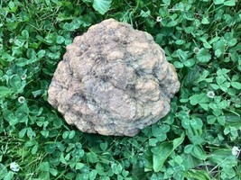 12  Lb + Indiana Geode  Crystals , minerals,fossil   Intact Jewelry Lapi... - $101.72