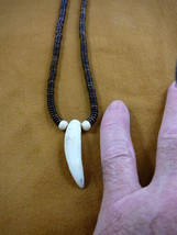 G159-203) 2&quot; GATOR Alligator Tooth Teeth brown aceh bovine bone Bead NECKLACE - £24.84 GBP
