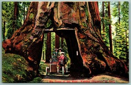 Auto Through Wawona Tree Tunnel Yosemite National Park CA UNP DB Postcard F15 - $5.31