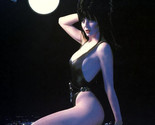 ELVIRA MISTRESS OF THE DARK IN SEXY HALLOWEEN OUTFIT PUBLICITY PHOTO 8X10 - £5.75 GBP