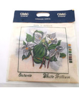 Vintage Needlepoint Kit Trillium Floral Ontario Square 12 in CEWEC Brode... - $29.64