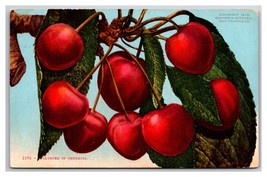 Cluster of Cherries DB Postcard Z5 - £1.52 GBP