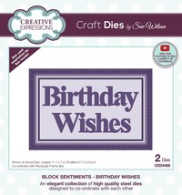 Creative Expressions Craft Dies By Sue Wilson-Block Sentiments- Birthday Wishes - £33.42 GBP