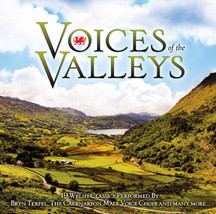 Various Artists : Voices of the Valleys CD (2016) Pre-Owned - £11.91 GBP